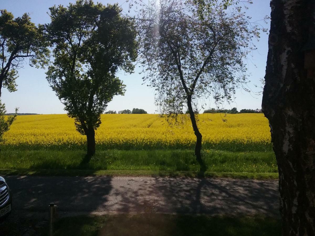 Ferienwohnung Thien Gross Niendorf  Екстер'єр фото